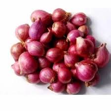 Loose Shallot Onion