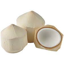 Young Coconut (Each)
